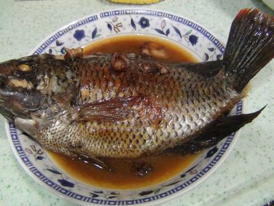 紅燒吳郭魚