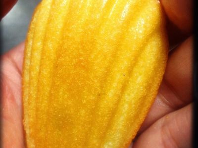 參考食譜 : 法式檸檬瑪德蕾蛋糕