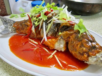 參考食譜 : 爸爸的糖醋魚