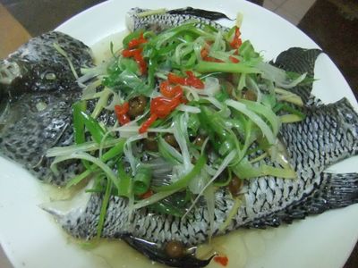 參考食譜 : ღ小吟愛做菜ღ 清蒸樹子石斑魚