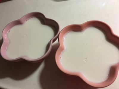 參考食譜 : 《簡單版》奶酪（不需鮮奶油）