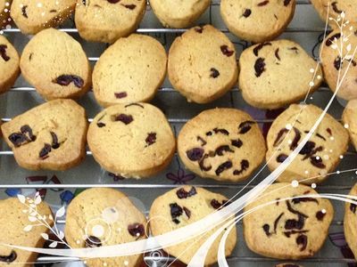 【以樂自然初食】蔓越莓奶酥手工餅乾－無泡打粉