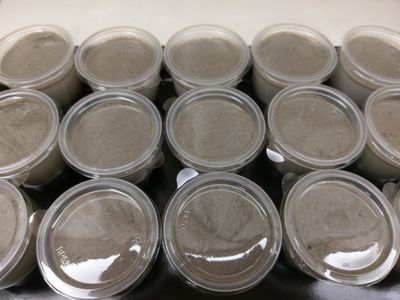 參考食譜 : 芝麻奶酪