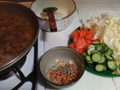 肉燥 洋蔥肉燥 高麗菜滷 燉飯 蛋殼面膜