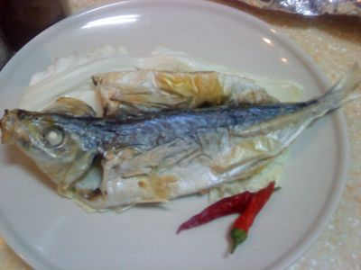 [小心上癮]燒烤一夜干DIY