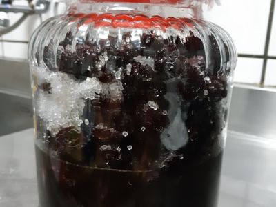 參考食譜 : 紅露黑棗（補血氣，手腳冰冷）