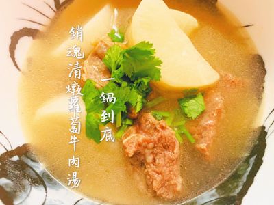 一鍋到底銷魂清燉蘿蔔牛肉湯