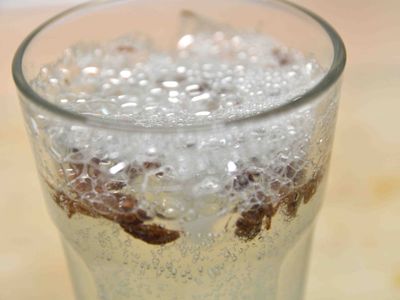 [盛夏飲品]鹹檸七