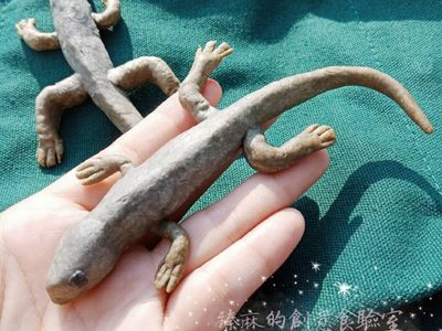 參考食譜 : 壁虎餅乾