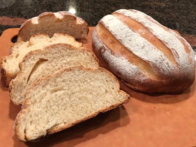 牛奶哈斯-當日中種法