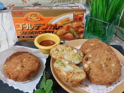 咖哩豆渣餅（蛋奶素）