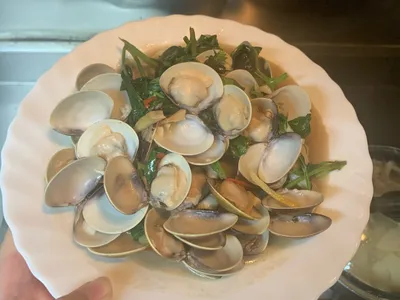 家常塔香蛤蠣🌿