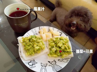 【新手上路】蘋果酪梨早餐(I)🥑