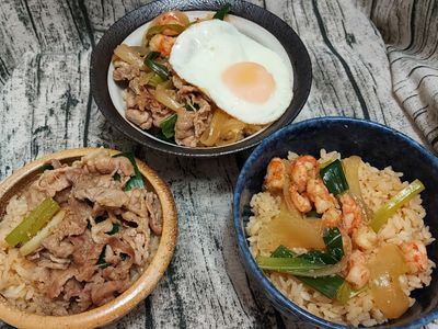 南部限定蝦仁飯/海陸雙拼飯