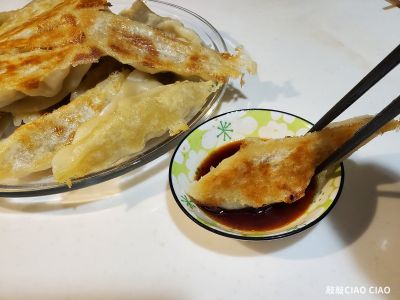 脆皮煎餃、脆皮鍋貼