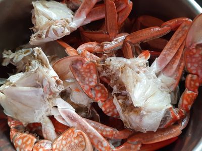 清蒸藍腳蟹（電鍋版）