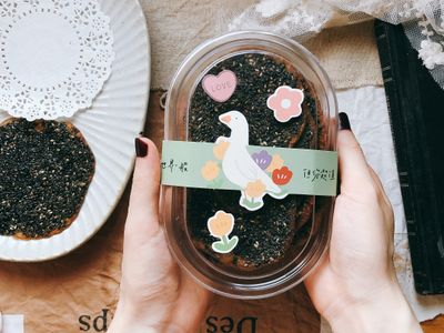 「寄舊山僧」黑芝麻糖薄片|消耗蛋清