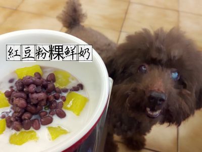 【古早味點心🍯】紅豆粉粿鮮奶