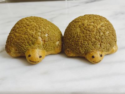 烏龜泡芙