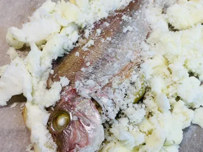 釜燒鯛魚｜過熱水蒸氣烤箱微波爐