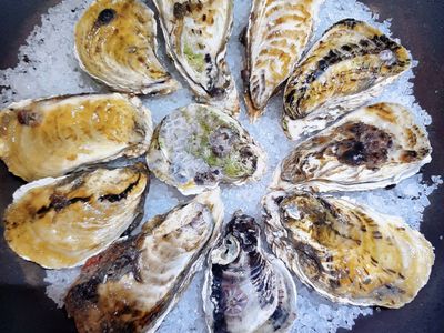 鹽焗鮮蚵