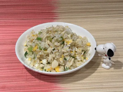 零廚藝系列：麻油雞絲炒飯