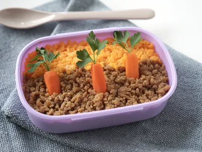 🥕超可愛胡蘿蔔田便當🥕