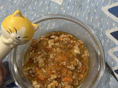 紅蘿蔔肉醬