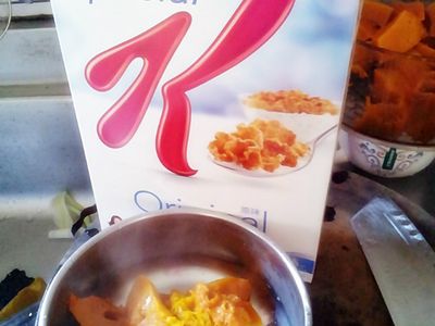 家樂氏Special K香脆麥米片-南瓜泥