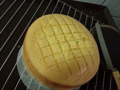 參考食譜 : 海綿蛋糕