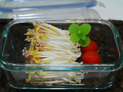參考食譜 : 自製安心豆芽菜✿樂扣樂扣