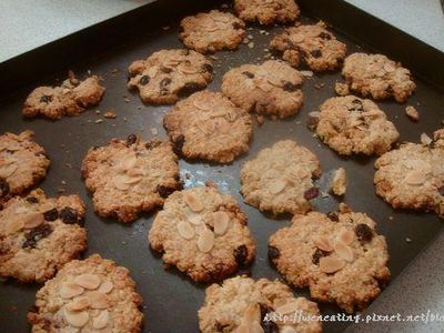參考食譜 : 小烤箱做低糖燕麥堅果餅乾(另有大烤箱版)