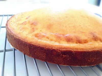 參考食譜 : 香濃紮實的香草海綿蛋糕!