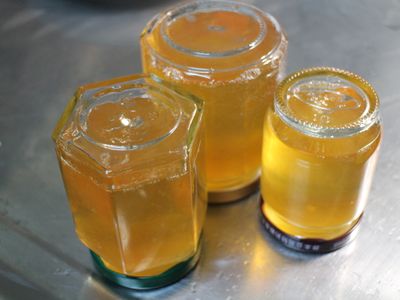 參考食譜 : 天然蘋果膠