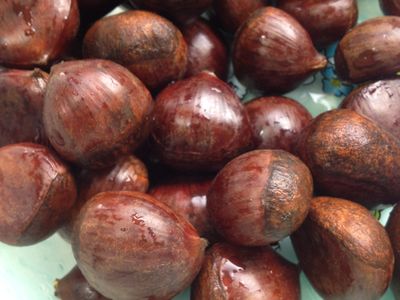 【大同電鍋】蒸栗子