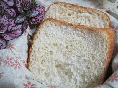 參考食譜 : 麵包機の龐多米吐司[Panasonic製麵包機]