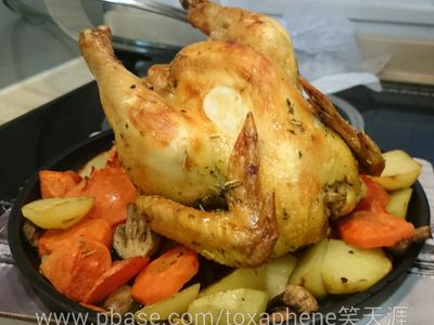 參考食譜 : 香草烤雞
