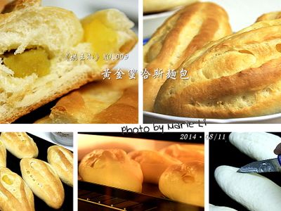 參考食譜 : 烘王A+料理簿：蜜黃金哈斯麵包《中種法》