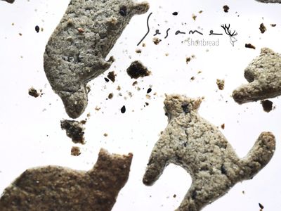 參考食譜 : 飛呀！芝麻小酥餅