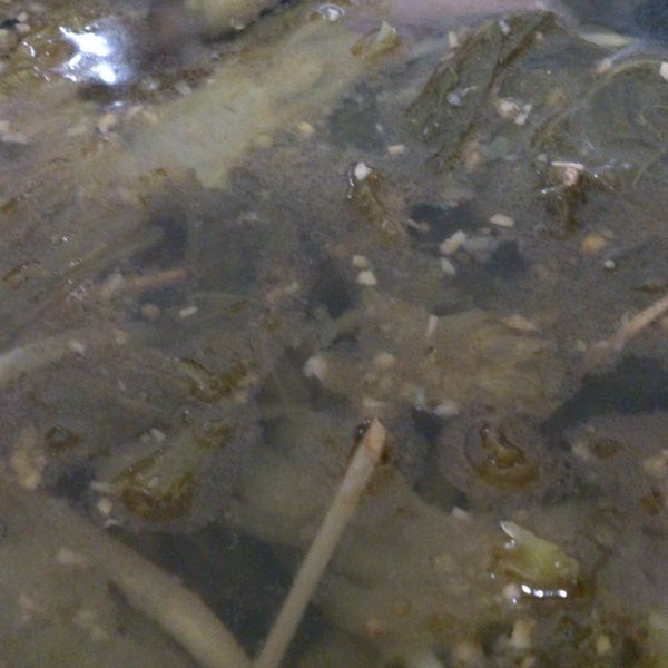 undefined：育禎張 一起做