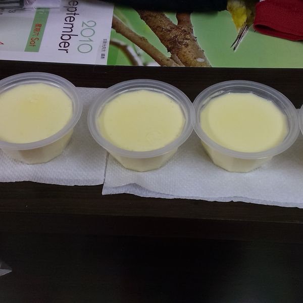 電鍋版雞蛋布丁 : Ting Ma一起做