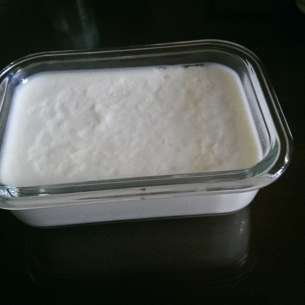 自製優格 : 史奴比一起做