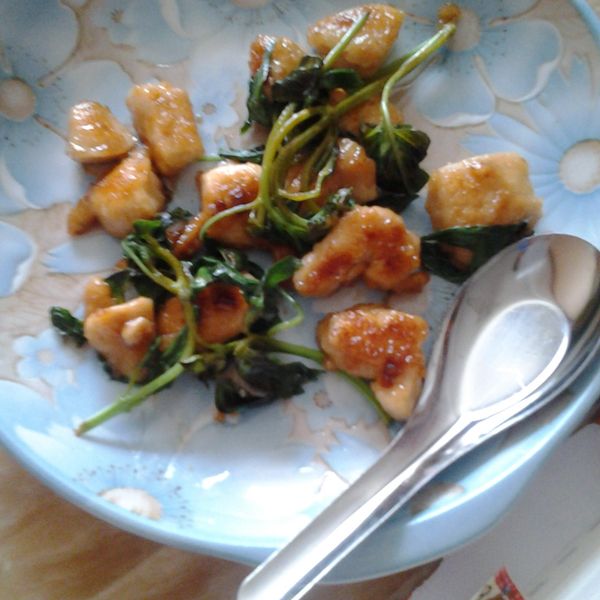 泰式打拋雞肉：Edward  Milano 一起做