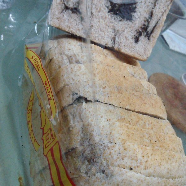 全麥黑豆渣核桃吐司 Whole Wheat Okara Bread Loaf with Walnut：Selena Tsai 一起做