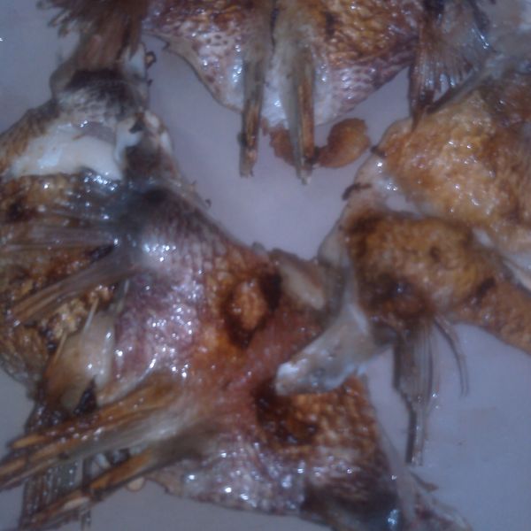 香煎魚下巴 : 米菲一起做