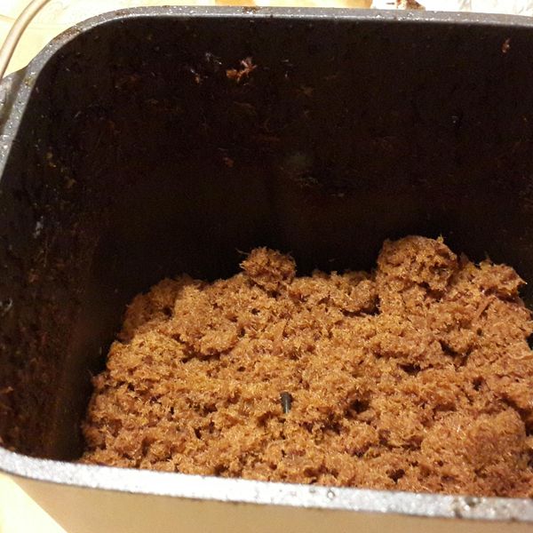 自製健康肉鬆[Panasonic製麵包機]：Sui Tseng 一起做