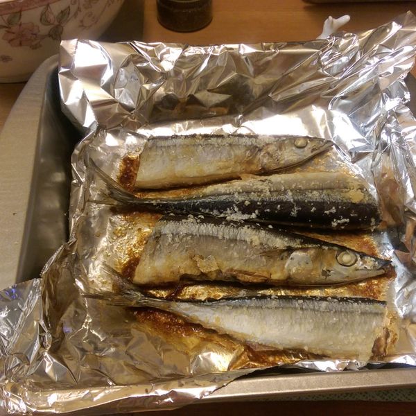 undefined：Yuhan Chen 一起做