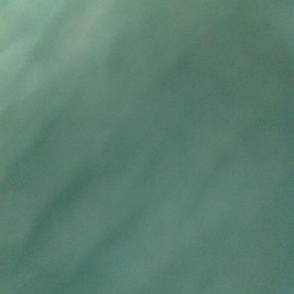 辣燒蝦仁：Warbasara 一起做