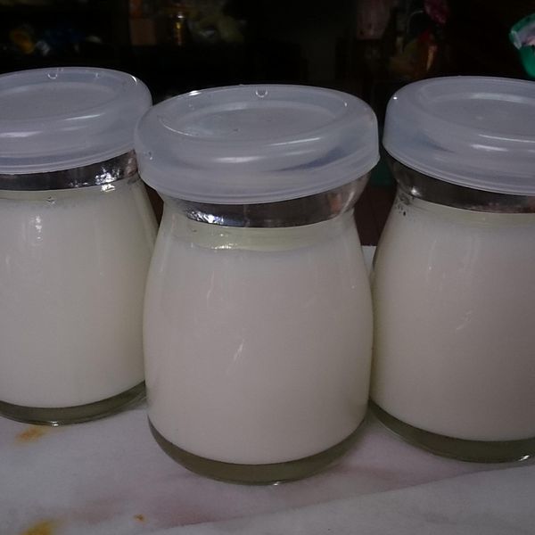 ♡小點心時間-鮮奶酪♡：Daisy Chou 一起做