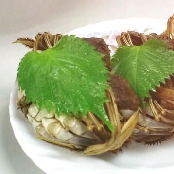 undefined：簡紅點 一起做